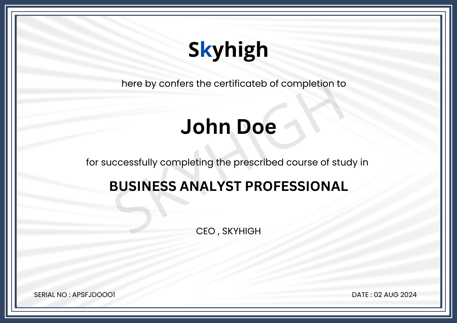 Business Analyst Professional